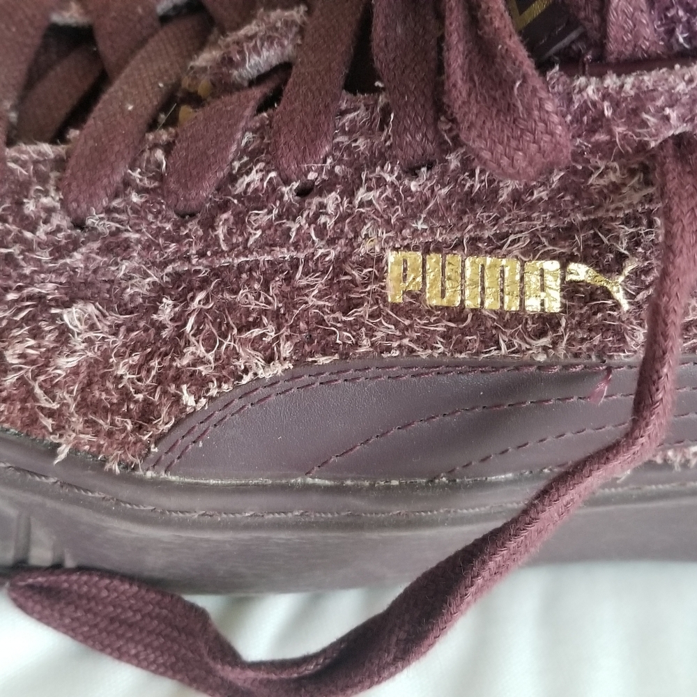 Pumas - Picture 3 of 6